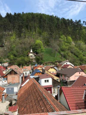 Casa Mountain view Braşov